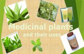 Medicinal plants and their uses