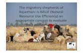 Pastoralists and natural resource use efficiency (NRUE)