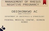 Management of Rh negative pregnancy