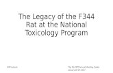 The Legacy of the F344 Rat at the National Toxicology Program