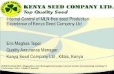 Internal control of MLN-free seed production: Experience of Kenya Seed Company Ltd.