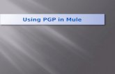 Mule security pgp with Example