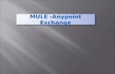 Anypoint exchange