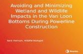 Avoiding and minimizing wetland and wildlife impacts in the Van Loon Bottoms during powerline construction