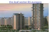 The Leaf Sector 85 Gurgaon : Pemex Global Consultancy, Pemex Global Reviews