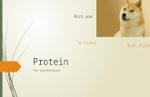 Protein (Nutrient)