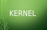 Kernel (OS)