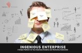 Ingenious Enterprise Infosheet