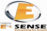 Company profile E-Sense INC.