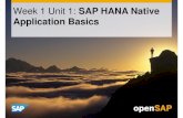 Week 1 unit 1to5 sap hana native application basics