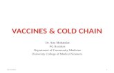 Vaccines & cold chain
