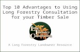 Top 10 Advantages to Using Long Forestry Consultation for Your Timber Sale