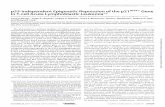 p53-independent Epigenetic Repression of the p21 Gene in T-cell ...