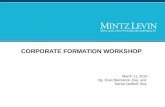 Corporate Formation: The Basics