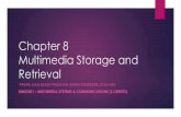 Chapter 8 - Multimedia Storage and Retrieval