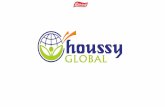 Houssy global presentation  -2016 latest