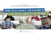 The Ego Soul Dynamics of Well-Being at Work - Richard Barrett