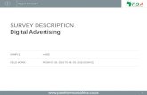 Biz Online Insights: Digital advertising
