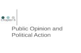 Public Opinion and Political Participation
