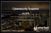 Cybersecurity Snapshot | July 2016