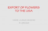 Export of flowers to the  usa