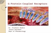 G- Protein Coupled Receptors