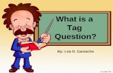 What is a tag question