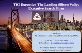 Tri executive the leading silicon valley executive search firm