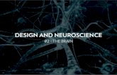 Design & Neuroscience - The Brain