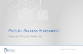 Portfolio success assessment