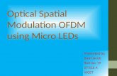 Optical Spatial Modulation OFDM using Micro LEDs