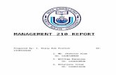 Management 210 report