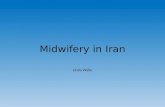 Midwifery in iran