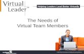 Virtual Team Member Needs