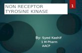 Non receptor tyrosine kinases