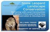 Snow Leopard Landscapes