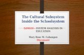 Report   system the cultural subsystem inside the schoolsystem