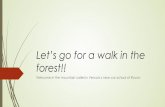 Let’s go for a walk in the forest