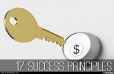 17 Success Principles