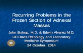 Frozen Section Diagnosis of Ovarian Tumors