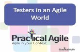 Being an Agile Tester