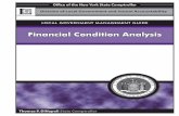 Local Government Management Guide - Financial Condition Analysis