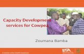 Capacity Development services for Cowpea
