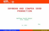 Soybean and cowpea seed production