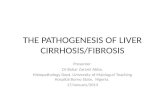 The pathogenesis of liver cirrhosis and fibrosis