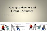 Group dynamics and group Dynamics
