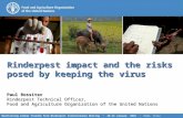 Rinderpest impact and the risks posed by keeping the virus