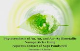 Phytosynthesis of Au, Ag, and Au