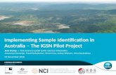Overview of the IGSN discovery portal