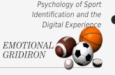 Emotional Gridiron: Psychology of Sport Identification and the Digital Experience